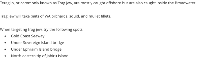 Teraglin, or commonly known as Trag Jew, are mostly caught offshore but are also caught inside the Broadwater.  Trag Jew will take baits of WA pilchards, squid, and mullet fillets.  When targeting trag jew, try the following spots: •	Gold Coast Seaway •	Under Sovereign Island bridge •	Under Ephraim Island bridge •	North eastern tip of Jabiru Island
