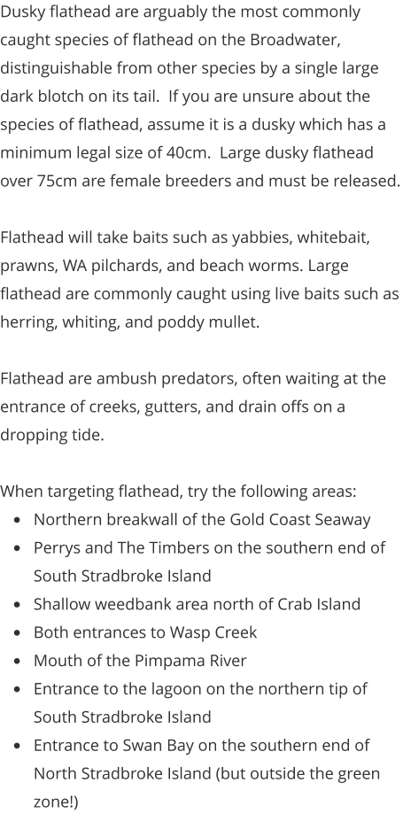 Dusky flathead are arguably the most commonly caught species of flathead on the Broadwater, distinguishable from other species by a single large dark blotch on its tail.  If you are unsure about the species of flathead, assume it is a dusky which has a minimum legal size of 40cm.  Large dusky flathead over 75cm are female breeders and must be released.  Flathead will take baits such as yabbies, whitebait, prawns, WA pilchards, and beach worms. Large flathead are commonly caught using live baits such as herring, whiting, and poddy mullet.  Flathead are ambush predators, often waiting at the entrance of creeks, gutters, and drain offs on a dropping tide.  When targeting flathead, try the following areas: •	Northern breakwall of the Gold Coast Seaway •	Perrys and The Timbers on the southern end of South Stradbroke Island •	Shallow weedbank area north of Crab Island •	Both entrances to Wasp Creek •	Mouth of the Pimpama River •	Entrance to the lagoon on the northern tip of South Stradbroke Island •	Entrance to Swan Bay on the southern end of North Stradbroke Island (but outside the green zone!)