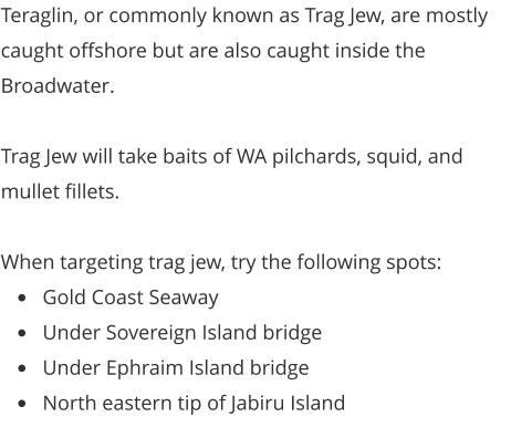 Teraglin, or commonly known as Trag Jew, are mostly caught offshore but are also caught inside the Broadwater.  Trag Jew will take baits of WA pilchards, squid, and mullet fillets.  When targeting trag jew, try the following spots: •	Gold Coast Seaway •	Under Sovereign Island bridge •	Under Ephraim Island bridge •	North eastern tip of Jabiru Island