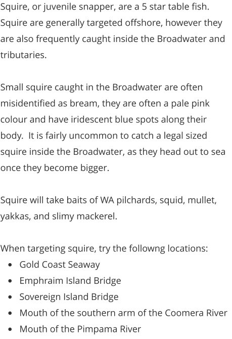 Squire, or juvenile snapper, are a 5 star table fish.  Squire are generally targeted offshore, however they are also frequently caught inside the Broadwater and tributaries.  Small squire caught in the Broadwater are often misidentified as bream, they are often a pale pink colour and have iridescent blue spots along their body.  It is fairly uncommon to catch a legal sized squire inside the Broadwater, as they head out to sea once they become bigger.   Squire will take baits of WA pilchards, squid, mullet, yakkas, and slimy mackerel.  When targeting squire, try the followng locations: •	Gold Coast Seaway •	Emphraim Island Bridge •	Sovereign Island Bridge •	Mouth of the southern arm of the Coomera River •	Mouth of the Pimpama River