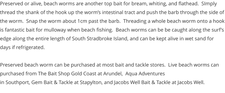 Preserved or alive, beach worms are another top bait for bream, whiting, and flathead.  SImply thread the shank of the hook up the worm’s intestinal tract and push the barb through the side of the worm.  Snap the worm about 1cm past the barb.  Threading a whole beach worm onto a hook is fantastic bait for mulloway when beach fishing.  Beach worms can be be caught along the surf’s edge along the entire length of South Stradbroke Island, and can be kept alive in wet sand for days if refrigerated.  Preserved beach worm can be purchased at most bait and tackle stores.  Live beach worms can purchased from The Bait Shop Gold Coast at Arundel,  Aqua Adventures in Southport, Gem Bait & Tackle at Stapylton, and Jacobs Well Bait & Tackle at Jacobs Well.