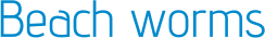 Beach worms