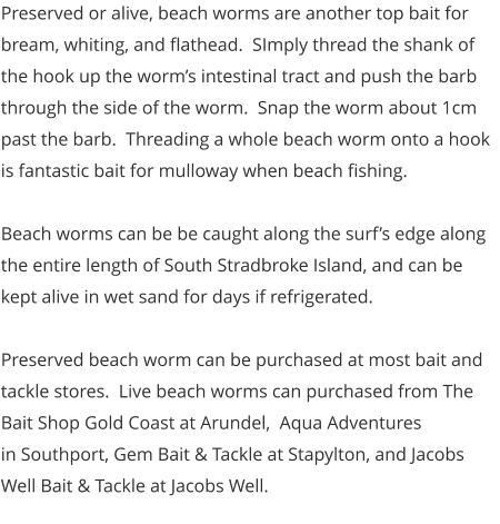 Preserved or alive, beach worms are another top bait for bream, whiting, and flathead.  SImply thread the shank of the hook up the worm’s intestinal tract and push the barb through the side of the worm.  Snap the worm about 1cm past the barb.  Threading a whole beach worm onto a hook is fantastic bait for mulloway when beach fishing.    Beach worms can be be caught along the surf’s edge along the entire length of South Stradbroke Island, and can be kept alive in wet sand for days if refrigerated.  Preserved beach worm can be purchased at most bait and tackle stores.  Live beach worms can purchased from The Bait Shop Gold Coast at Arundel,  Aqua Adventures in Southport, Gem Bait & Tackle at Stapylton, and Jacobs Well Bait & Tackle at Jacobs Well.