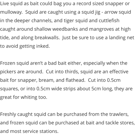 Live squid as bait could bag you a record sized snapper or mulloway.  Squid are caught using a squid jig - arrow squid in the deeper channels, and tiger squid and cuttlefish caught around shallow weedbanks and mangroves at high tide, and along breakwalls.  Just be sure to use a landing net to avoid getting inked.  Frozen squid aren’t a bad bait either, especially when the pickers are around.  Cut into thirds, squid are an effective bait for snapper, bream, and flathead.  Cut into 0.5cm squares, or into 0.5cm wide strips about 5cm long, they are great for whiting too.  Freshly caught squid can be purchased from the trawlers, and frozen squid can be purchased at bait and tackle stores, and most service stations.