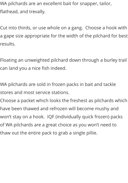 WA pilchards are an excellent bait for snapper, tailor, flathead, and trevally.  Cut into thirds, or use whole on a gang.  Choose a hook with a gape size appropriate for the width of the pilchard for best results.  Floating an unweighted pilchard down through a burley trail can land you a nice fish indeed.  WA pilchards are sold in frozen packs in bait and tackle stores and most service stations. Choose a packet which looks the freshest as pilchards which have been thawed and refrozen will become mushy and won’t stay on a hook.  IQF (individually quick frozen) packs of WA pilchards are a great choice as you won’t need to thaw out the entire pack to grab a single pillie.