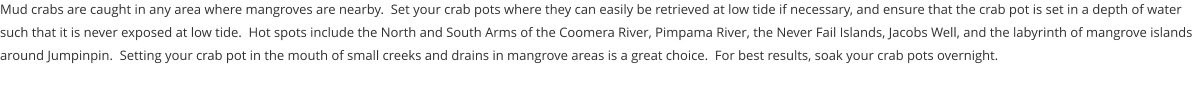 Mud crabs are caught in any area where mangroves are nearby.  Set your crab pots where they can easily be retrieved at low tide if necessary, and ensure that the crab pot is set in a depth of water such that it is never exposed at low tide.  Hot spots include the North and South Arms of the Coomera River, Pimpama River, the Never Fail Islands, Jacobs Well, and the labyrinth of mangrove islands around Jumpinpin.  Setting your crab pot in the mouth of small creeks and drains in mangrove areas is a great choice.  For best results, soak your crab pots overnight.