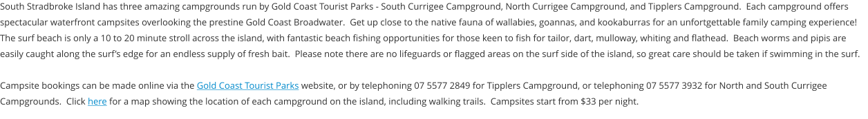 South Stradbroke Island has three amazing campgrounds run by Gold Coast Tourist Parks - South Currigee Campground, North Currigee Campground, and Tipplers Campground.  Each campground offers spectacular waterfront campsites overlooking the prestine Gold Coast Broadwater.  Get up close to the native fauna of wallabies, goannas, and kookaburras for an unfortgettable family camping experience!  The surf beach is only a 10 to 20 minute stroll across the island, with fantastic beach fishing opportunities for those keen to fish for tailor, dart, mulloway, whiting and flathead.  Beach worms and pipis are easily caught along the surf’s edge for an endless supply of fresh bait.  Please note there are no lifeguards or flagged areas on the surf side of the island, so great care should be taken if swimming in the surf.  Campsite bookings can be made online via the Gold Coast Tourist Parks website, or by telephoning 07 5577 2849 for Tipplers Campground, or telephoning 07 5577 3932 for North and South Currigee Campgrounds.  Click here for a map showing the location of each campground on the island, including walking trails.  Campsites start from $33 per night.